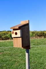 A close view of the wooden box birdhouse in the field.