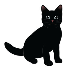 Black cat Collection