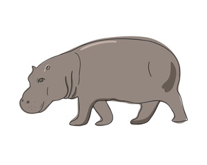 Hippopotamus. PNG