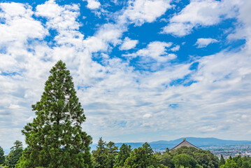 Beautiful blue sky with summer cloud  in Nara City, Japan.