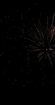 Vertical video of fireworks in the sky. many different shapes sizes and colours. .