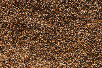 top view of coriander seeds heap as background