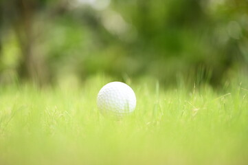 An intentional blur of a white golf ball resting on a cream tee on a green lawn. (Ready to play pins) with blurred green background. Suitable for making background images or adding text.
