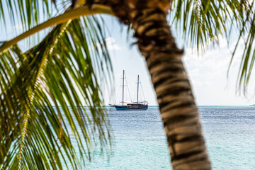 Boot zwischen Palmenbl&auml;ttern