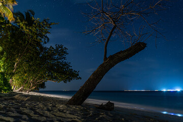 toter Baum ragt aus dem Sand heraus