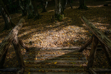 End of the wooden bridge