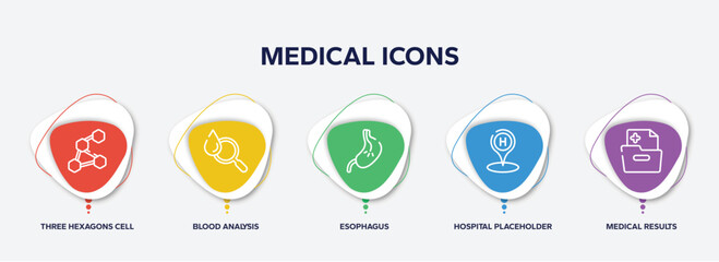 infographic element template with medical icons outline icons such as three hexagons cell, blood analysis, esophagus, hospital placeholder, medical results folders vector.