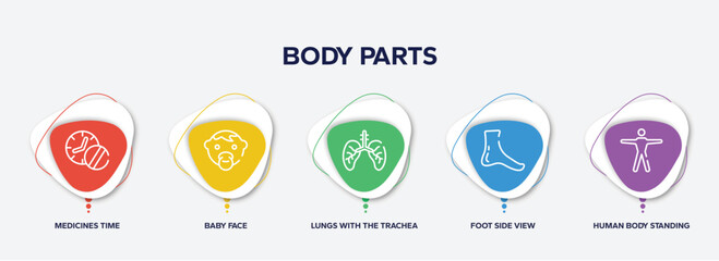 infographic element template with body parts outline icons such as medicines time, baby face, lungs with the trachea, foot side view, human body standing vector.