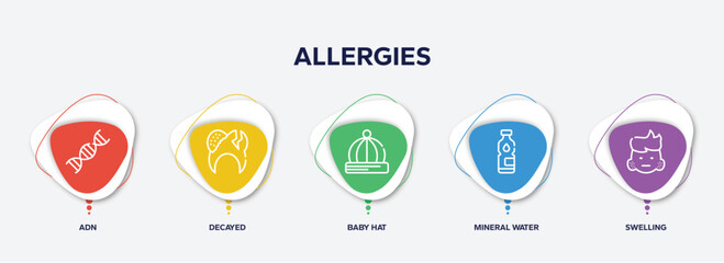 Fototapeta premium infographic element template with allergies outline icons such as adn, decayed, baby hat, mineral water, swelling vector.