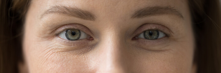 Cropped image, horizontal view female eyes look at camera. Eye-care, eyesight regular check up...