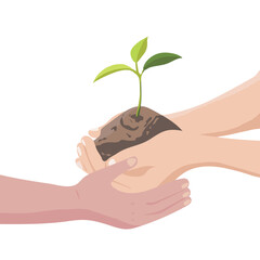 Fototapeta na wymiar Hands holding a young green plant isolate on white background, the concept of greenery. Hand-drawn, vector illustration.