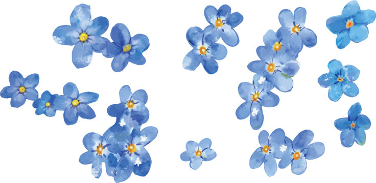 勿忘草 の画像 39 292 件の Stock 写真 ベクターおよびビデオ Adobe Stock