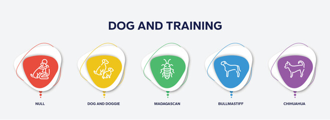 infographic element template with dog and training outline icons such as null, dog and doggie, madagascan, bullmastiff, chihuahua vector.