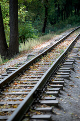 Fototapeta premium Railroad track leading through forest. Rails strewn with autumn leaves. Vertical frame