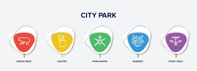 infographic element template with city park outline icons such as grizzly bear, lighter, pond skater, seaweed, picnic table vector.