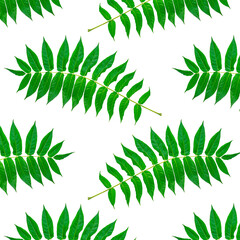 Green leaves seamless pattern on a white background.