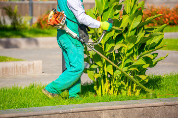 A worker mows the lawn with a manual lawn mower on the streets of the city. Mowing garden meadow lawn. Summer work in the garden.