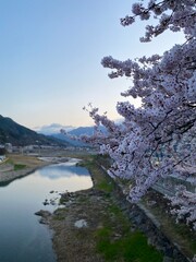 하동 벚꽃십리길