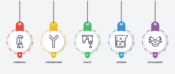 infographic element template with college outline icons such as chemicals, chromosome, pulley, agitator, scholarship vector.