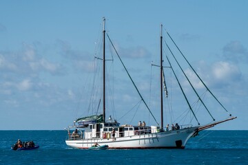 tourism in a tropical island in summer on the ocean in the great barrier reef queensland