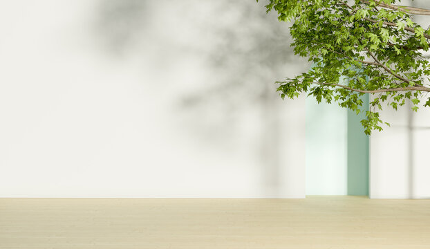 white room mock up space with part of tree, 3d illustration rendering