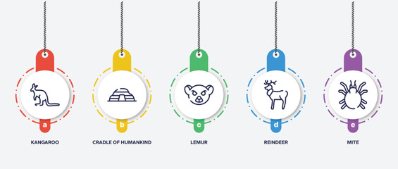 infographic element template with insects outline icons such as kangaroo, cradle of humankind, lemur, reindeer, mite vector. © VectorStockDesign
