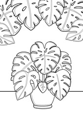 Monstera Home Plant Coloring Pages A4 for Kids and Adult