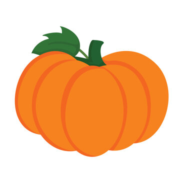 Cute Orange Pumpkin Illustration Vector Clipart