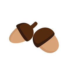 Autumn Walnut Illustration Vector Clipart