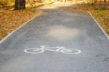 asphalt bike path in the autumn park. Bicycle icon on the road in a pine forest. Dedicated track for sports. Comfortable urban environment. Symbol of cycle paths on the pavement
