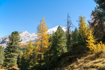 Bergpanorama im Herbst