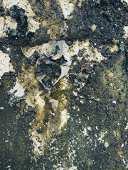 texture