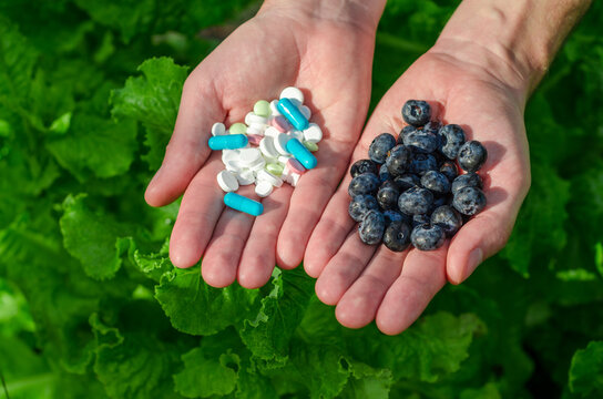 Fresh blueberries and white pills lie in open male palms on a green background. The topic of choosing healthy food or diseases and treatment