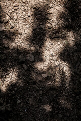 Nature background shadows