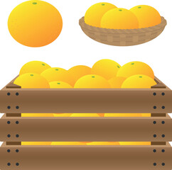 バスケット・木箱に入ったグレープフルーツのイラスト