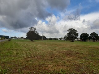 Fototapeta premium Pradera en la Terra Chá lucense, Galicia