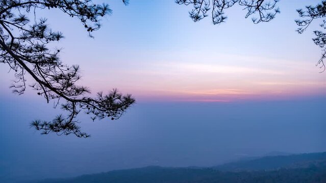 Phu Kradueng Loei sunrise timelapse at Pha Nok Ean with pine tree silhouette, Thailand nature landscape 4K time lapse