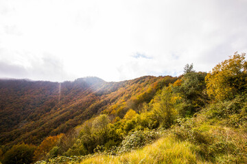Autumn sunrise in Puigsacalm peak, La Garrotxa, Girona, Spain