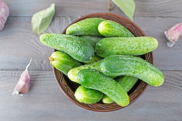 Fresh green cucumbers in a clay bowl. Selective focus, top view