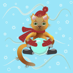 A cat making a snowball