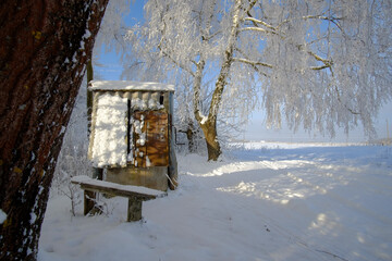 old house in the snow