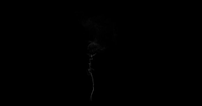 60Frames Cigarette smoke looping,seamless black background
