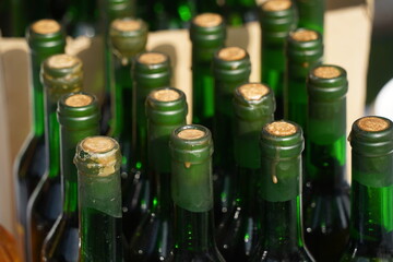 Several glass bottles with a stopper stand behind each other.