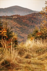 Górski szlak jesienią - obrazy, fototapety, plakaty