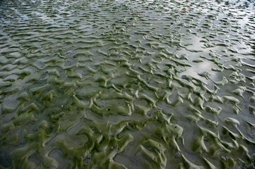 Klimawandel auf allen ebenen