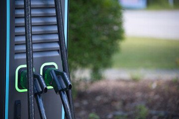 car charger gas pump in the park 