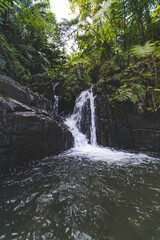 Waterfall along Juan Diego hiking trail in tropical El Yunque National Forest