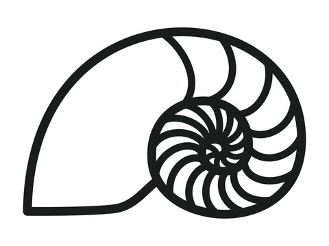 recommend clip art: Golden ratio image, nautilus silhouette