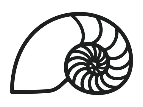 recommend clip art: Golden ratio image, nautilus silhouette