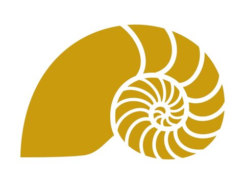 recommend clip art: Golden ratio image, nautilus silhouette